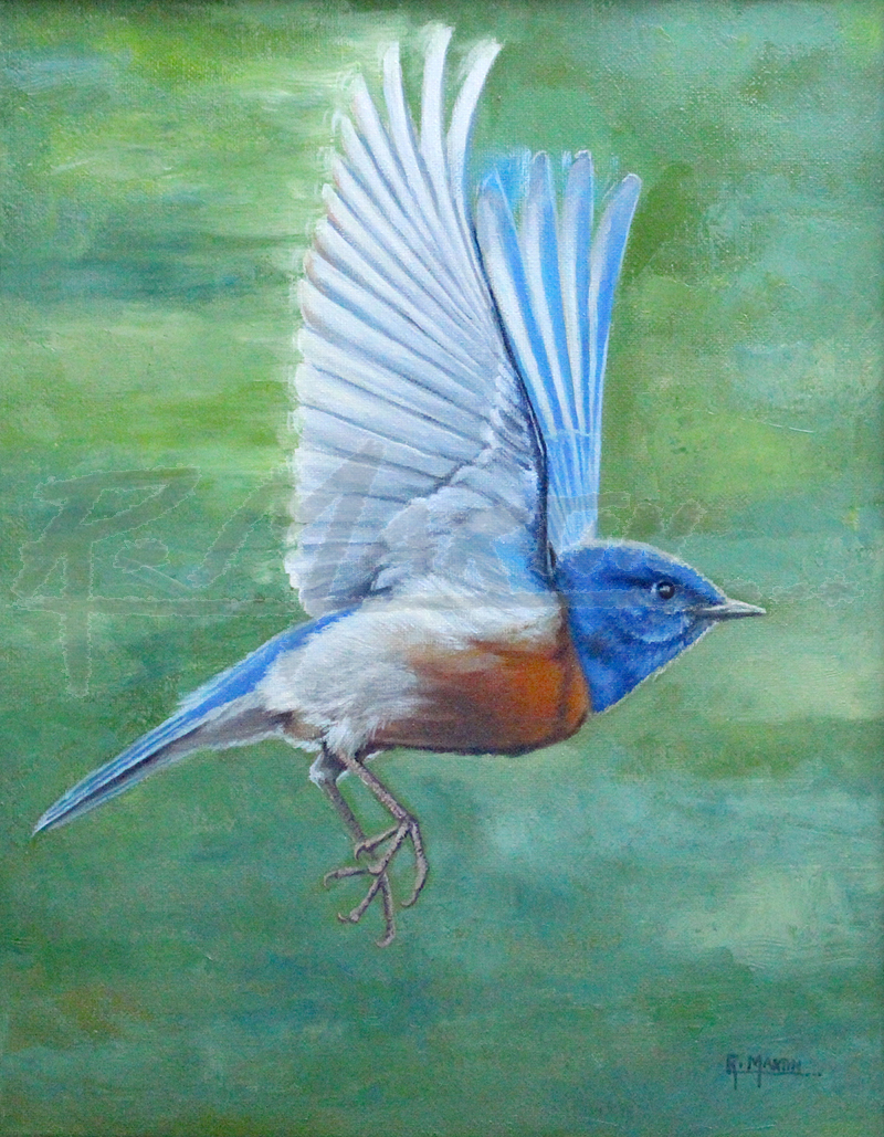 Thrush Rush